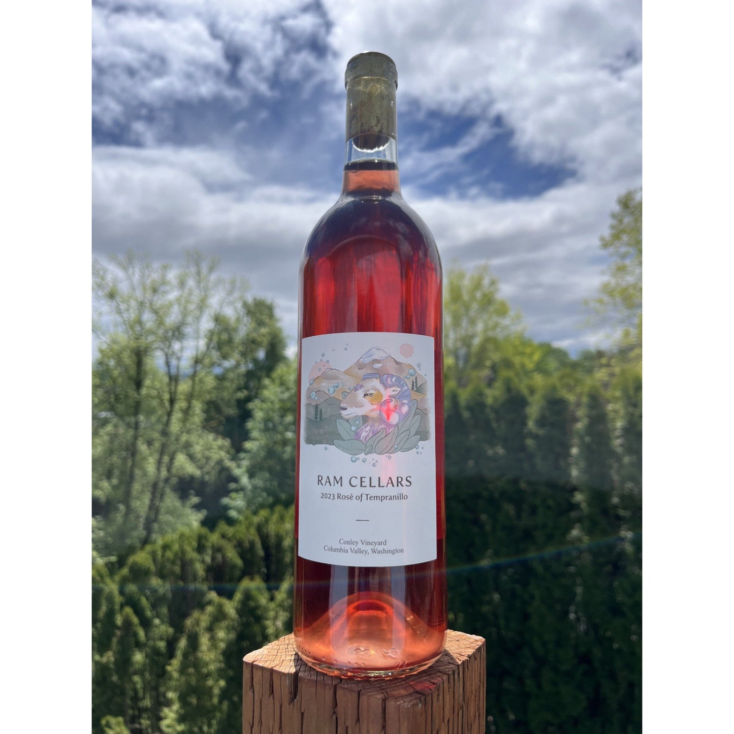 RAM Cellars Rosé of Tempranillo