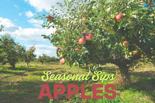 apple orchard with ripe apples